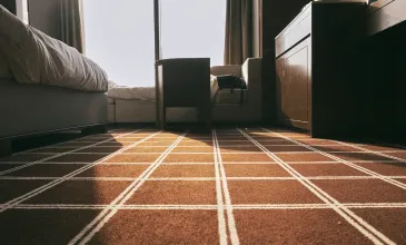 Safe and Effective Homemade Carpet Cleaning Solution Guide